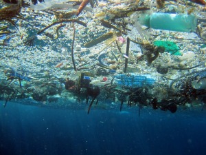 Marine debris from underwater