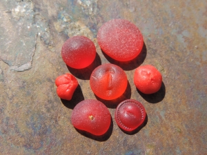 Collection of Lisl's red sea glass buttongs